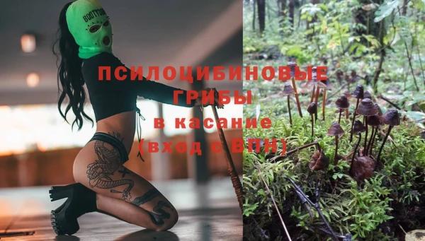 СК Алзамай