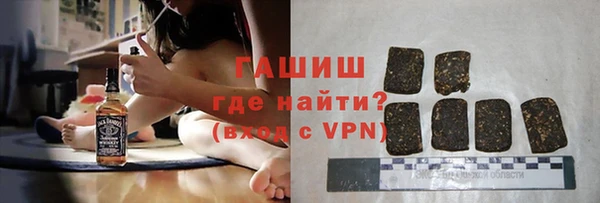 хмурый Абаза