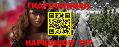 гашик Камышлов
