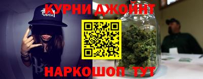 гашик Камышлов