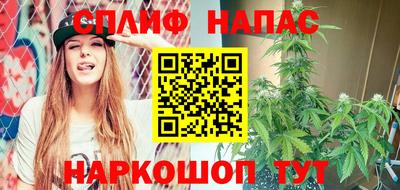 гашик Камышлов