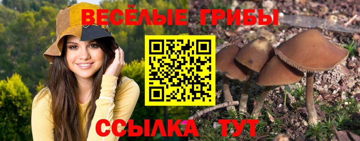 Галлюциногенные грибы MAGIC MUSHROOMS  Вход с VPN  Псилоцибиновые грибы прущие грибы  Лабинск 